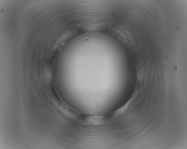 X0000076380179200610202048