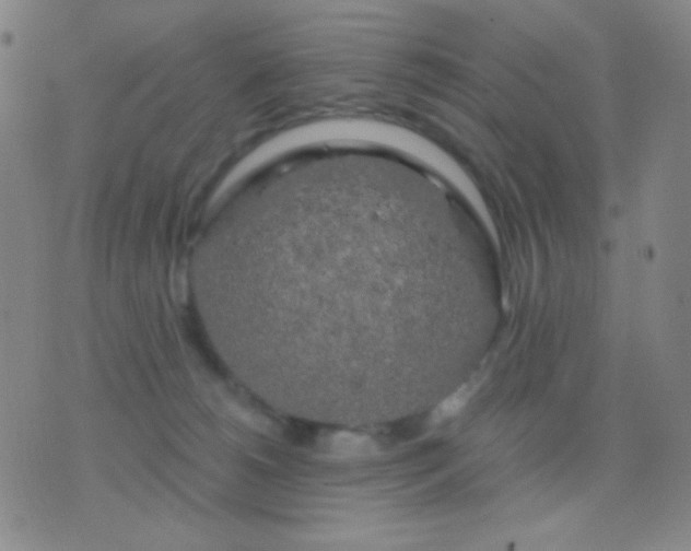 X0000076380180200610202048