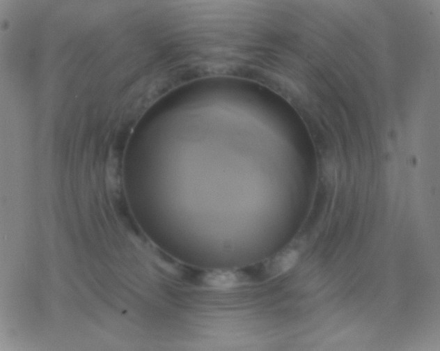 X0000076380181200610202048