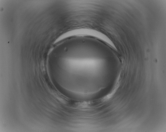 X0000076380182200610202048