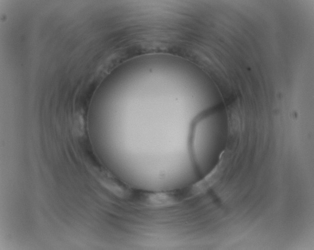 X0000076380183200610202048