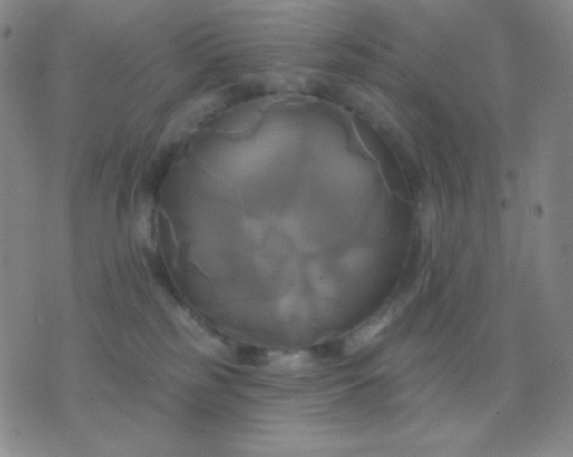 X0000076380185200610202048