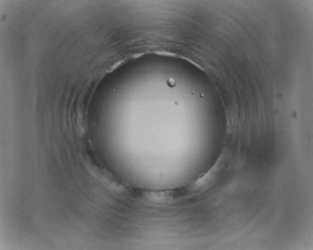 X0000076380187200610202048