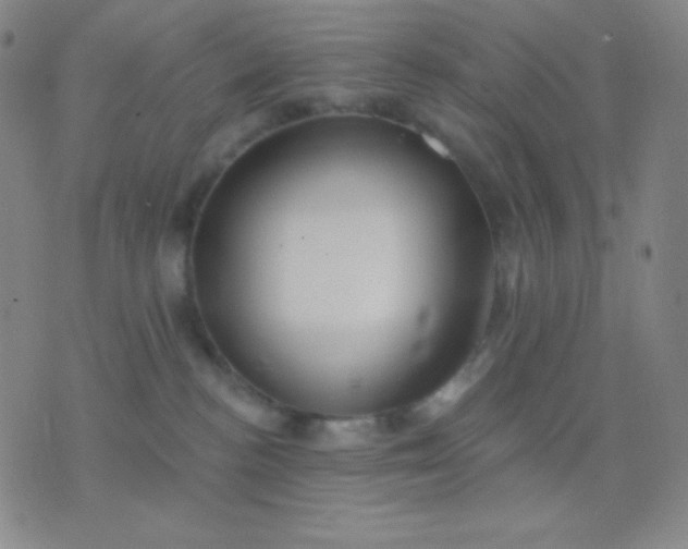 X0000076380188200610202048