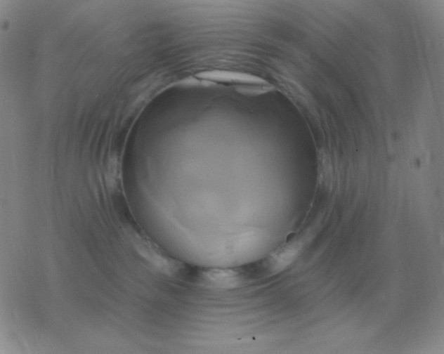 X0000076380189200610202048