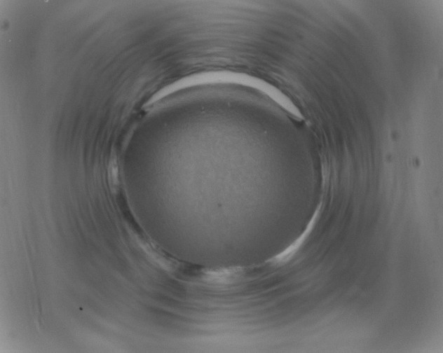 X0000076380190200610202048