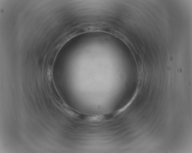 X0000076380191200610202048