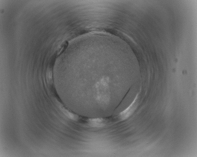 X0000076380192200610202048