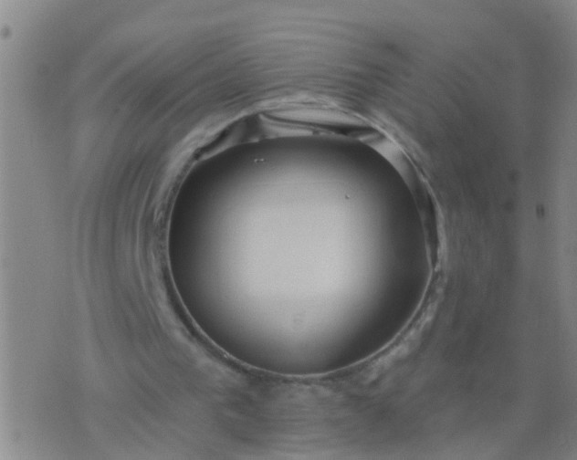 X0000076380193200610202048