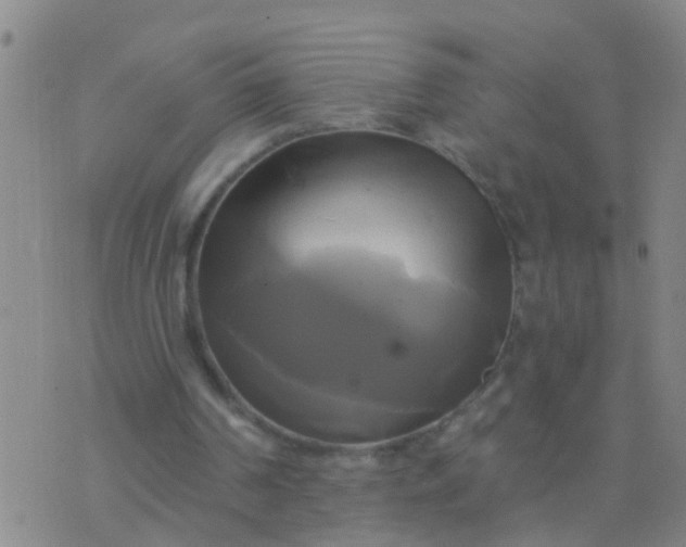 X0000076380194200610202048