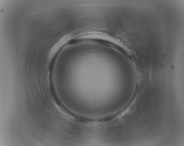 X0000076380197200610202048