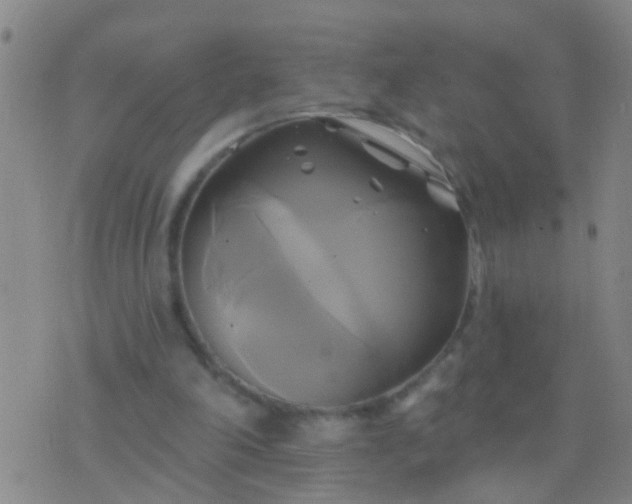 X0000076380198200610202048