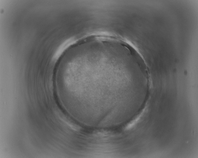 X0000076380199200610202048