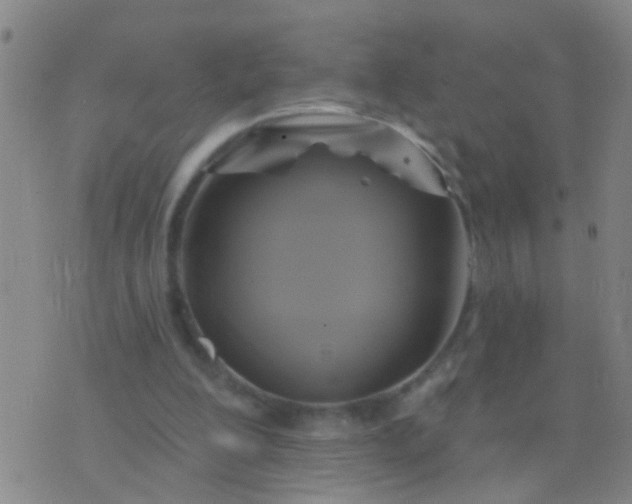 X0000076380200200610202048