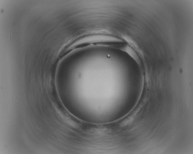 X0000076380201200610202047