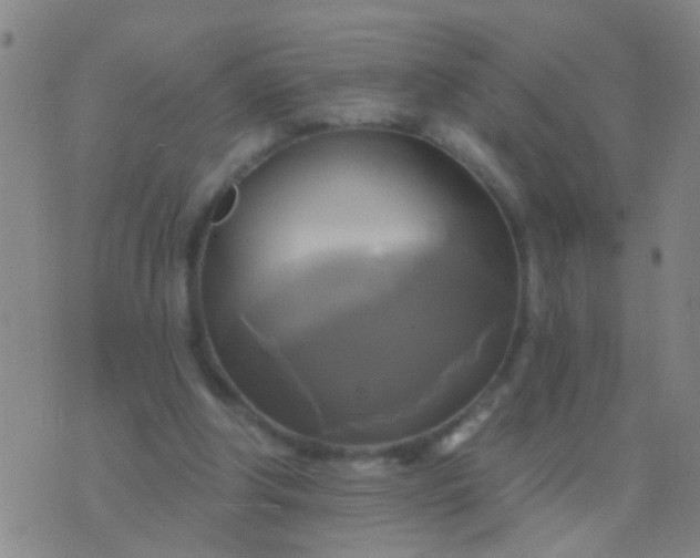 X0000076380202200610202047