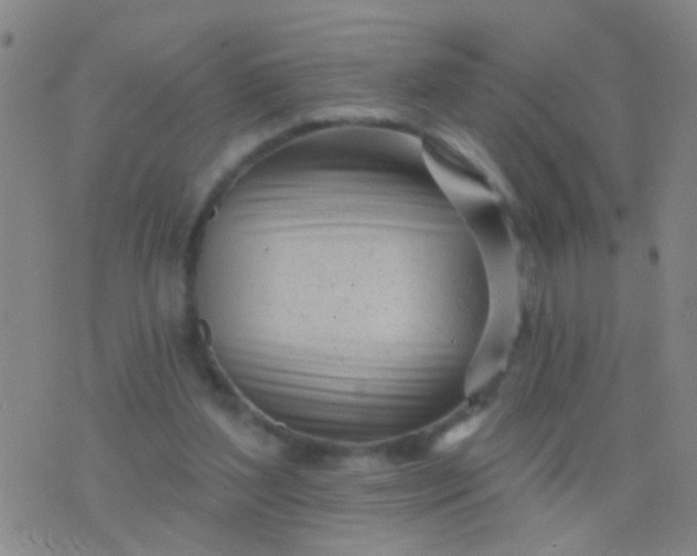 X0000076380204200610202047