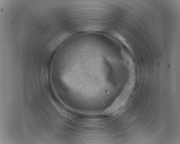 X0000076380205200610202047