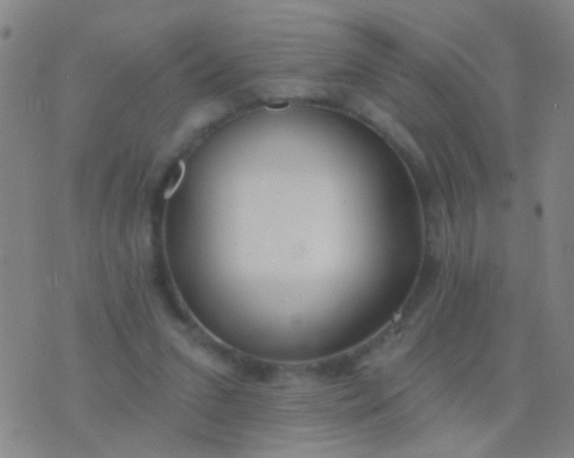 X0000076380207200610202047