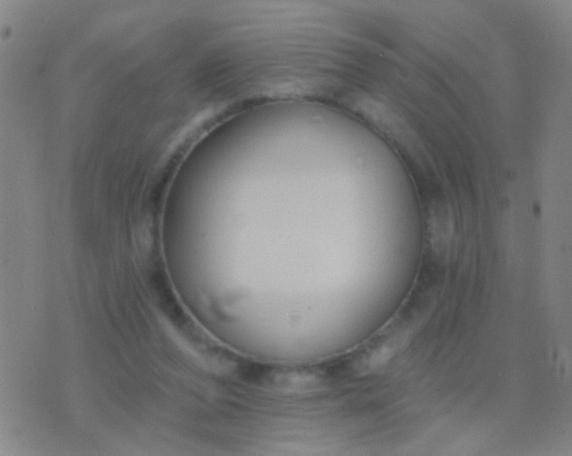 X0000076380208200610202047