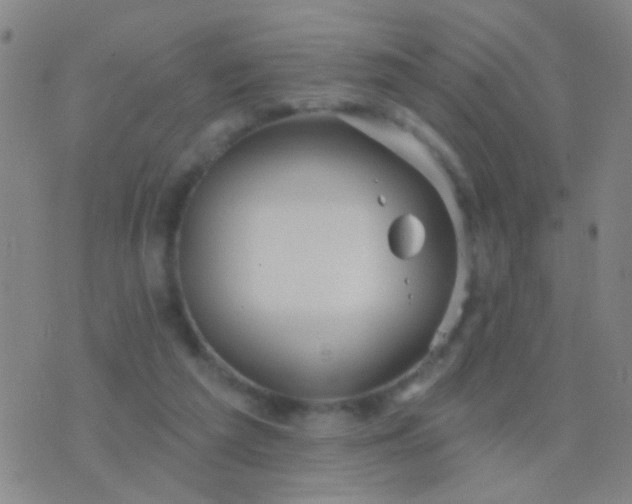 X0000076380209200610202047