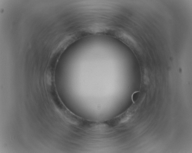 X0000076380210200610202047