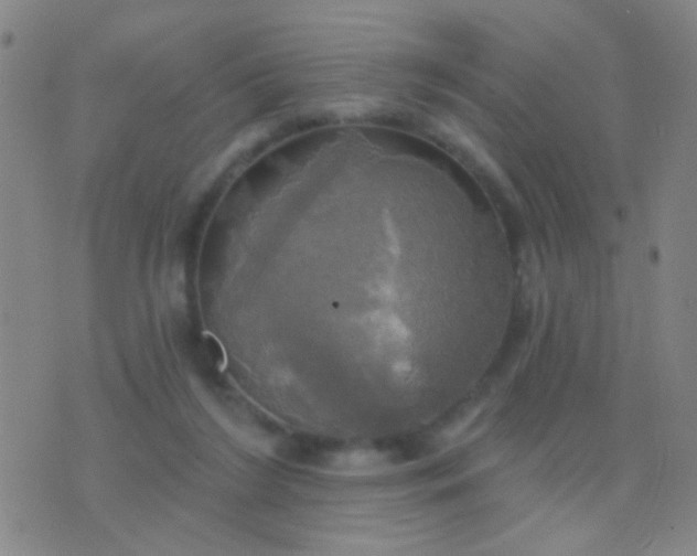 X0000076380212200610202047