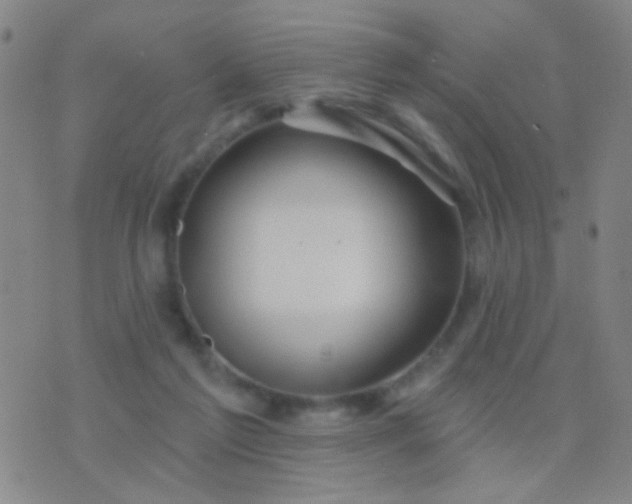 X0000076380213200610202047