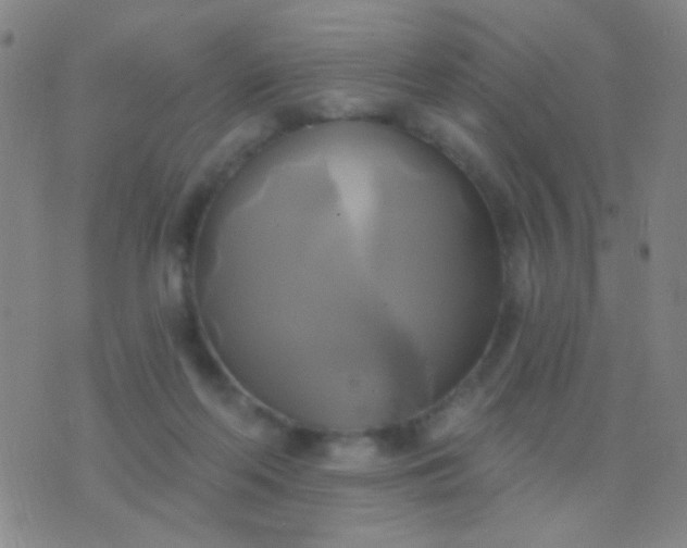 X0000076380214200610202047