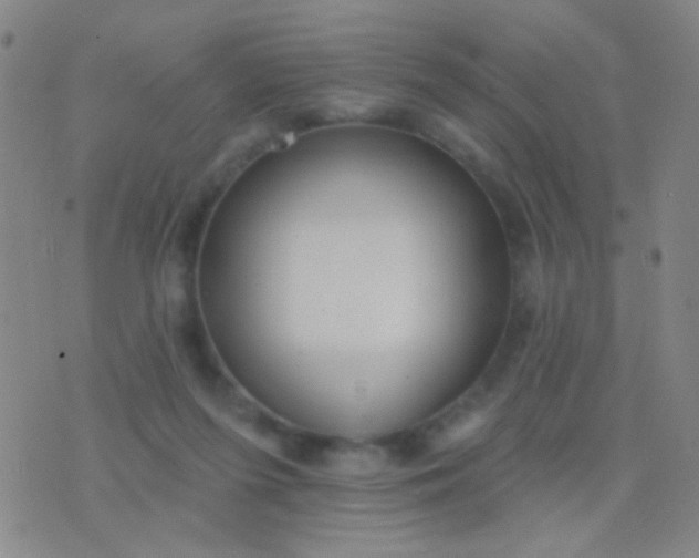 X0000076380215200610202047