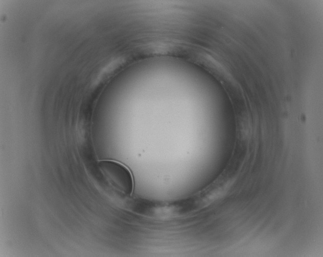 X0000076380216200610202047