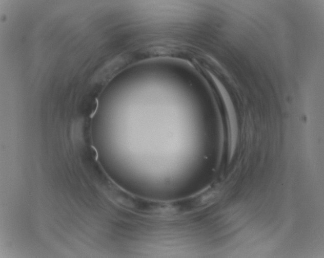 X0000076380217200610202047