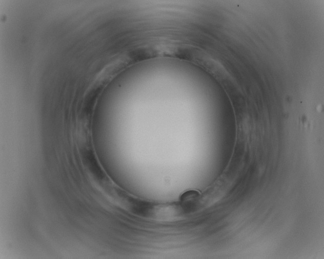 X0000076380218200610202047