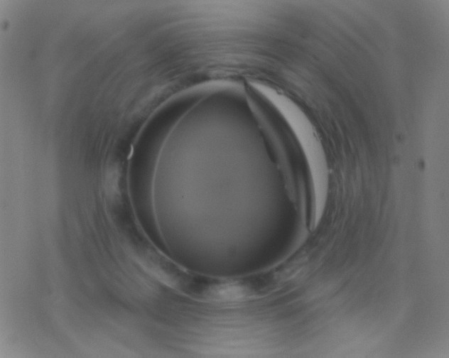 X0000076380219200610202047