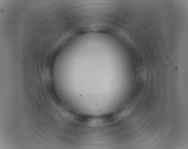 X0000076380220200610202047