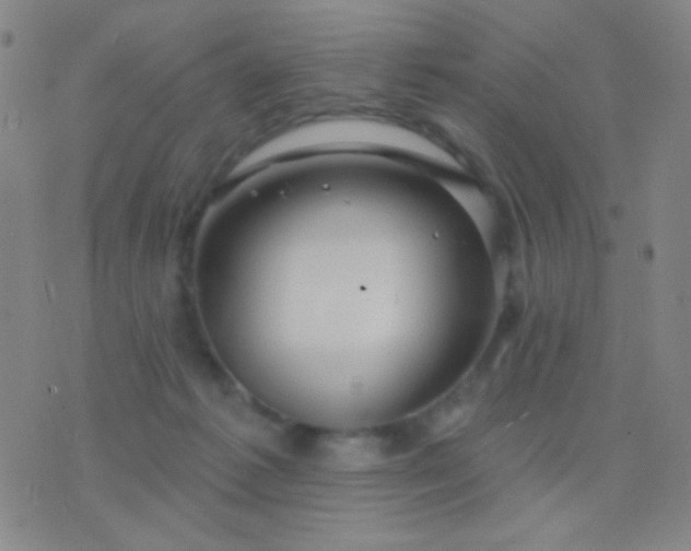 X0000076380221200610202047