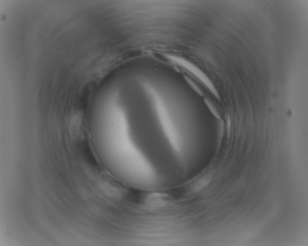 X0000076380222200610202047