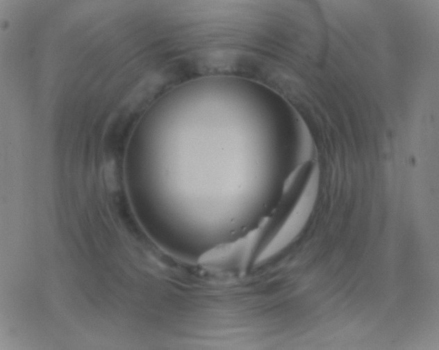 X0000076380224200610202047