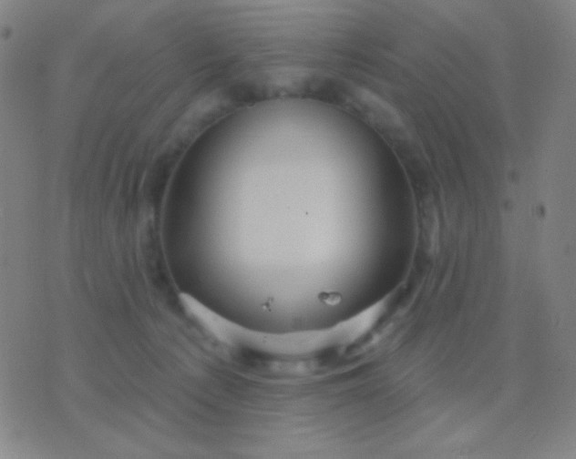 X0000076380225200610202047