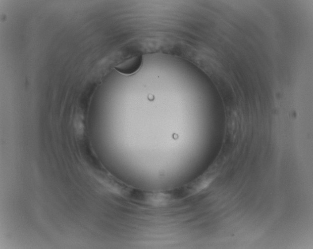 X0000076380226200610202047