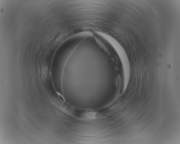 X0000076380227200610202047