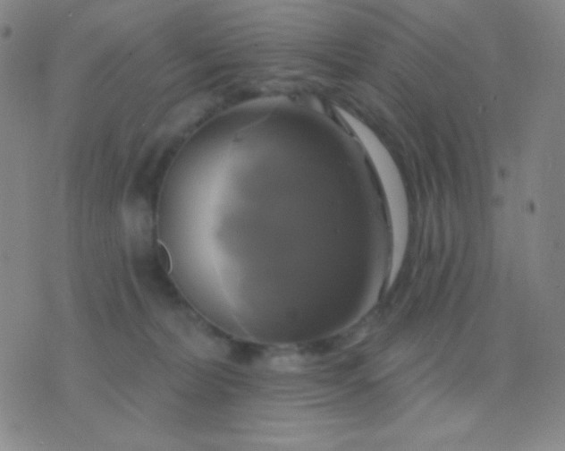 X0000076380228200610202047