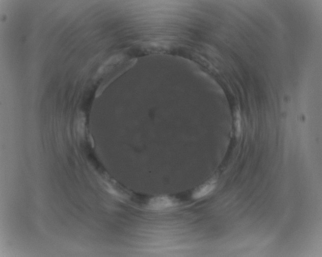 X0000076380231200610202047