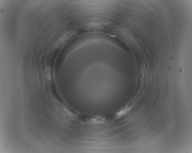 X0000076380232200610202047