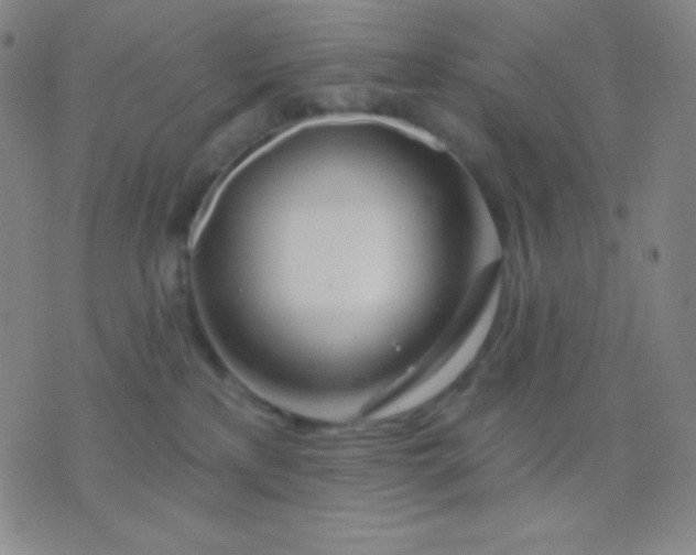 X0000076380233200610202047