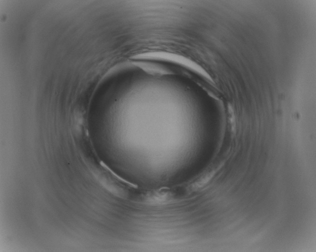 X0000076380235200610202047