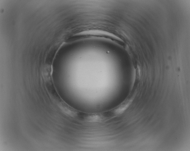 X0000076380237200610202047