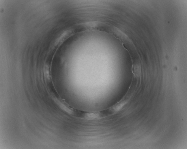 X0000076380238200610202047