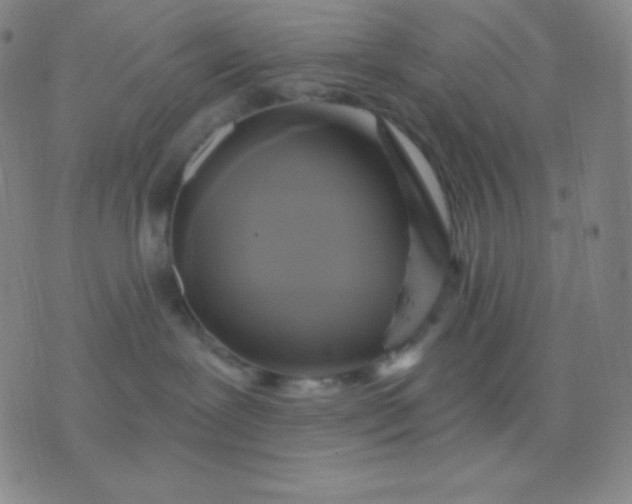 X0000076380239200610202047