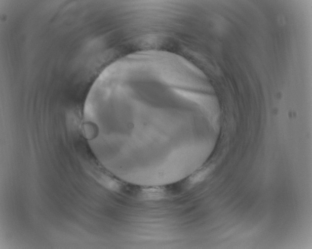 X0000076380240200610202047